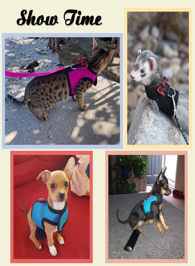 Rypet Small Animal Harness and Leash - Soft Mesh Pet Harness with Safe Bell, No Pull Comfort Padded Vest for Small Pet Pink - Image 5